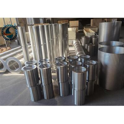 Ss 201 304 316l 321 Wedge Wire Screen Back Flush Filter Drum