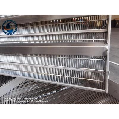 Custom Ss316l Wedge Wire Screen Panels For Sediment Filtration